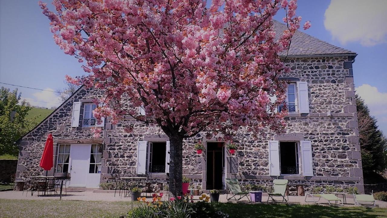 Maison D'Hotes La Nichee Rochefort-Montagne Exteriér fotografie